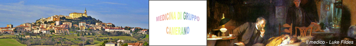 medicina di gruppo camerano